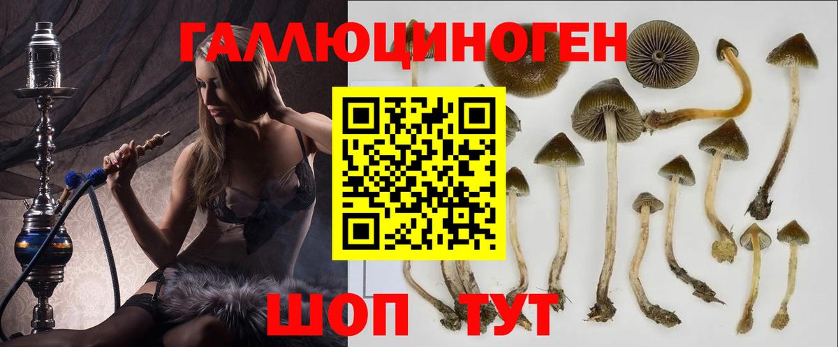 Псилоцибиновые грибы GOLDEN TEACHER Великие Луки